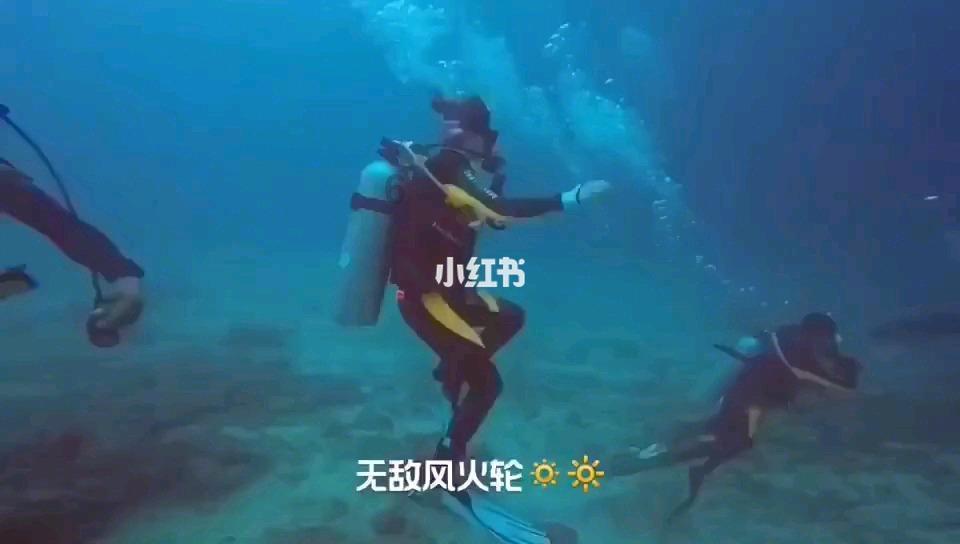 便捷有趣的如何在家自制奶茶视频的做法问答网站,轻松解答您的疑问